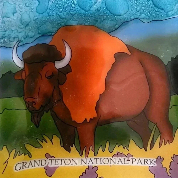 pam peana Other - Pam Peana Buffalo - Grand Teton National Park Small Glass Tray